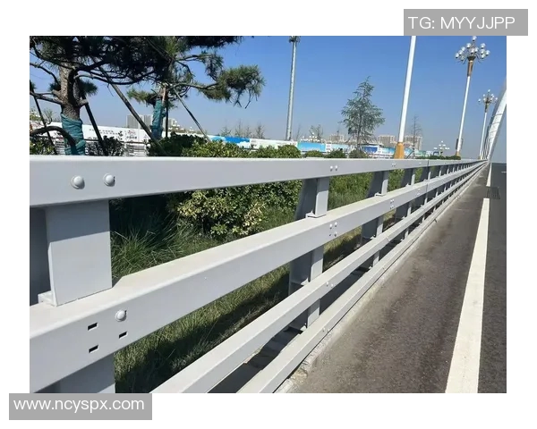 交通护栏的设计与应用分析及其对道路安全的影响研究