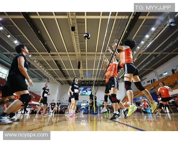 从零基础到排球高手：全面解析比赛技巧与实战经验攻略