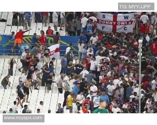 西安排球队战术引发热议球迷专家各抒己见探讨争议背后真相