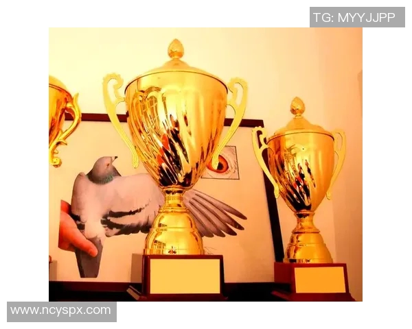 奖杯象征荣耀与奋斗 见证拼搏与梦想的实现之路 奖杯象征荣耀与奋斗 见证拼搏与梦想的实现之路