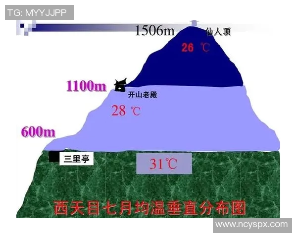 重庆排球队速度表现分析及其对比赛胜负的影响探讨