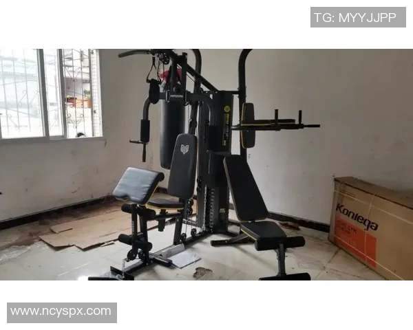 飞鸟健身器材买卖平台一览