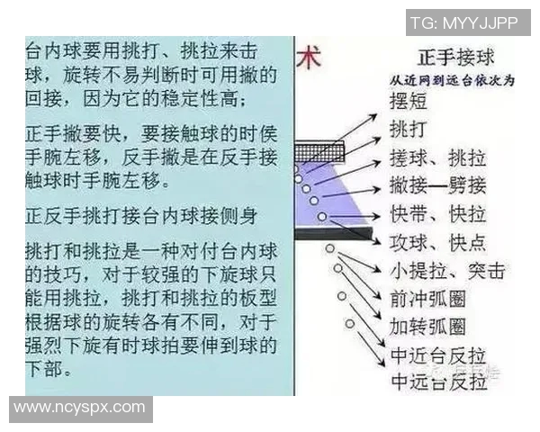 南京乒乓球队技术深度解析与训练方法探讨